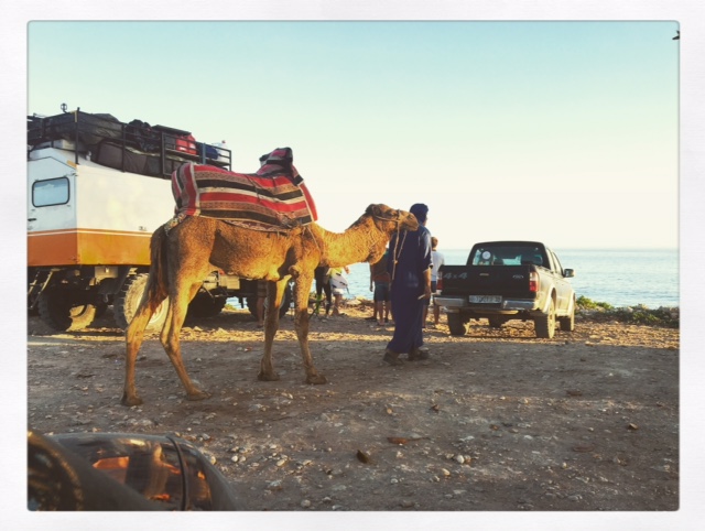 #OH MOROCCO!