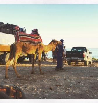 #OH MOROCCO!